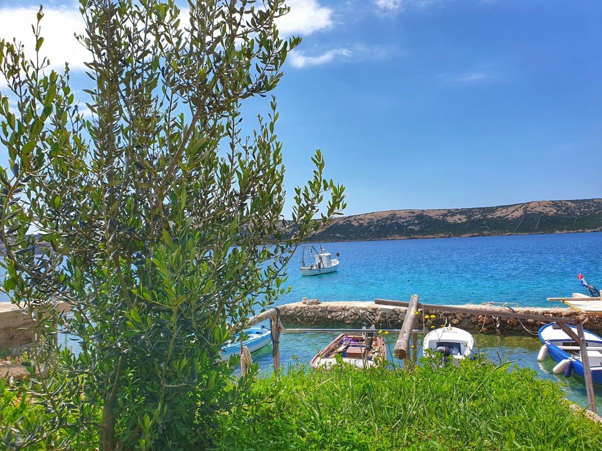 شقة Betaنوفاليا المظهر الخارجي الصورة